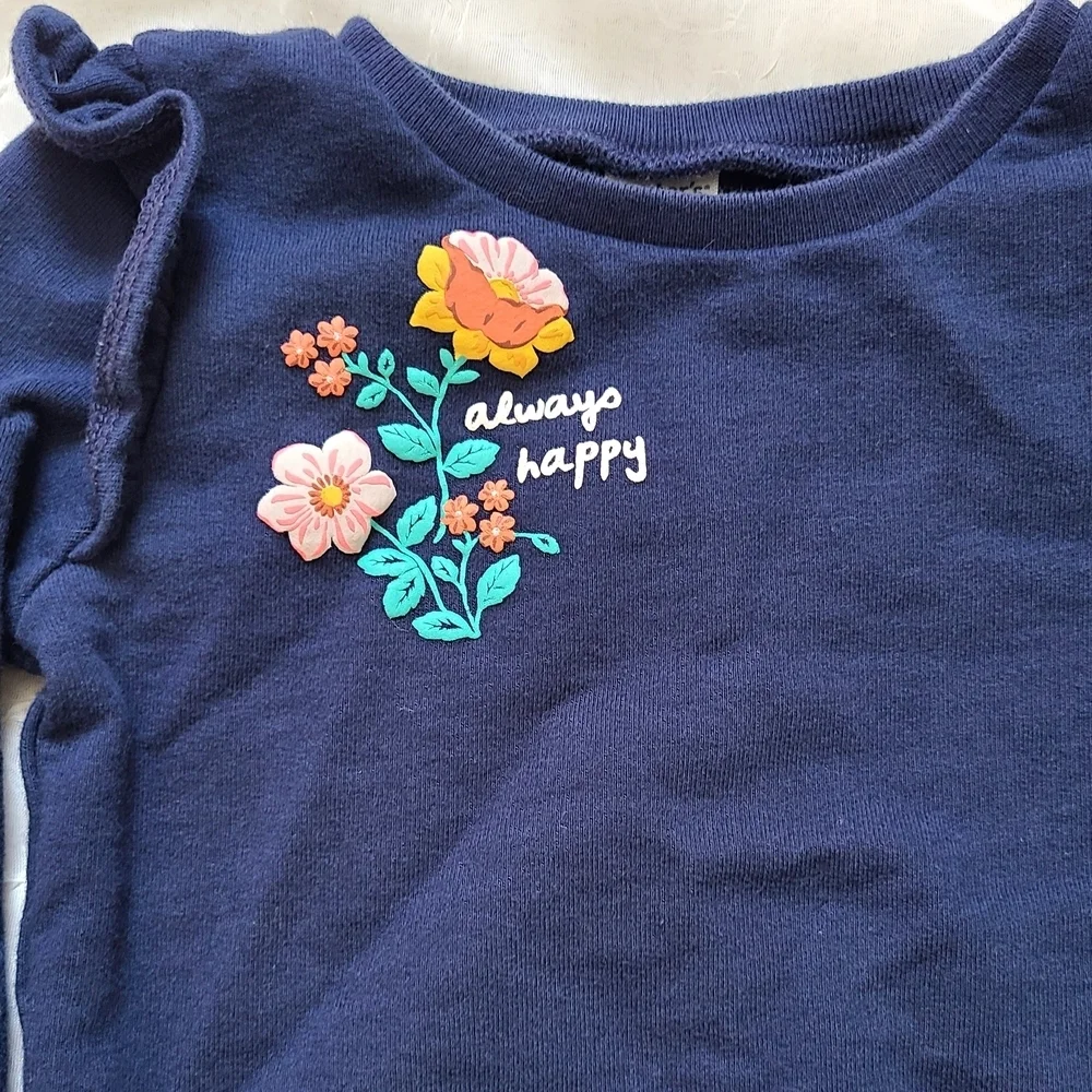 Carter's Blue Sweatshirt with Floral Details and Ruffle Shoulders For 18M Girl